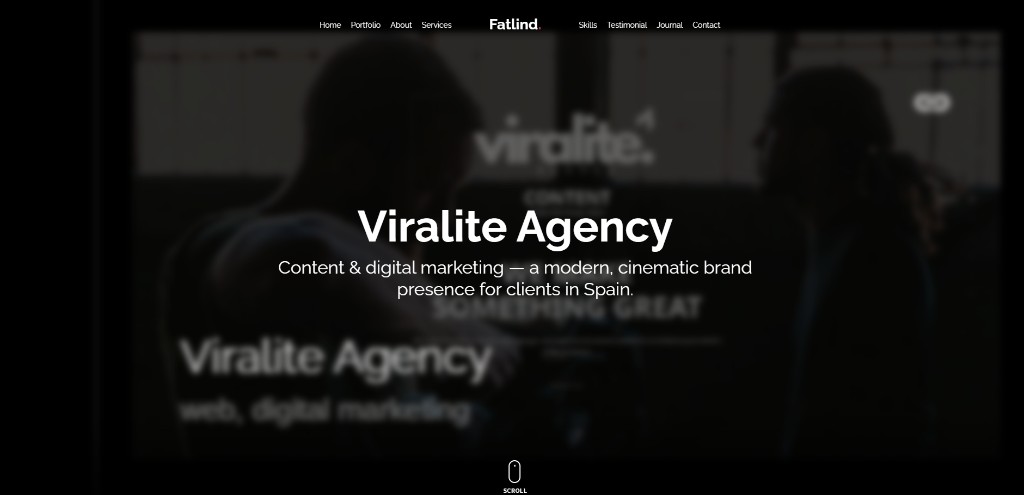 Viralite Agency — open project page